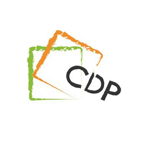 Comité pour le Développement et le Patrimoine (CDP)